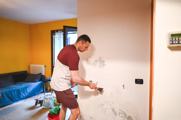 Best Mold Remediation  in Portage, IN